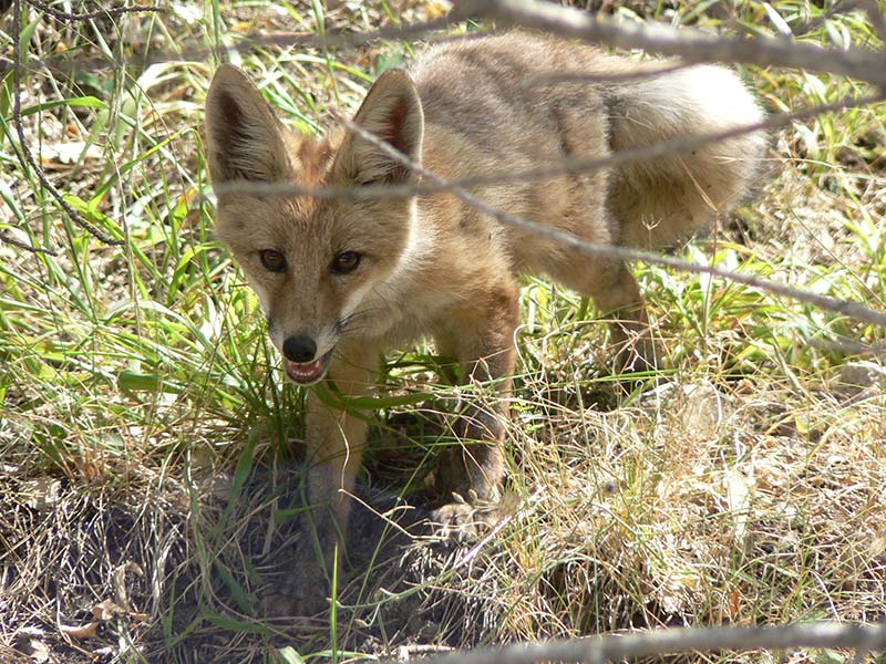Parque Natural Sierras de Cazorla, Segura y Las Villas Parque Natural Sierras de Cazorla, Segura y Las Villas